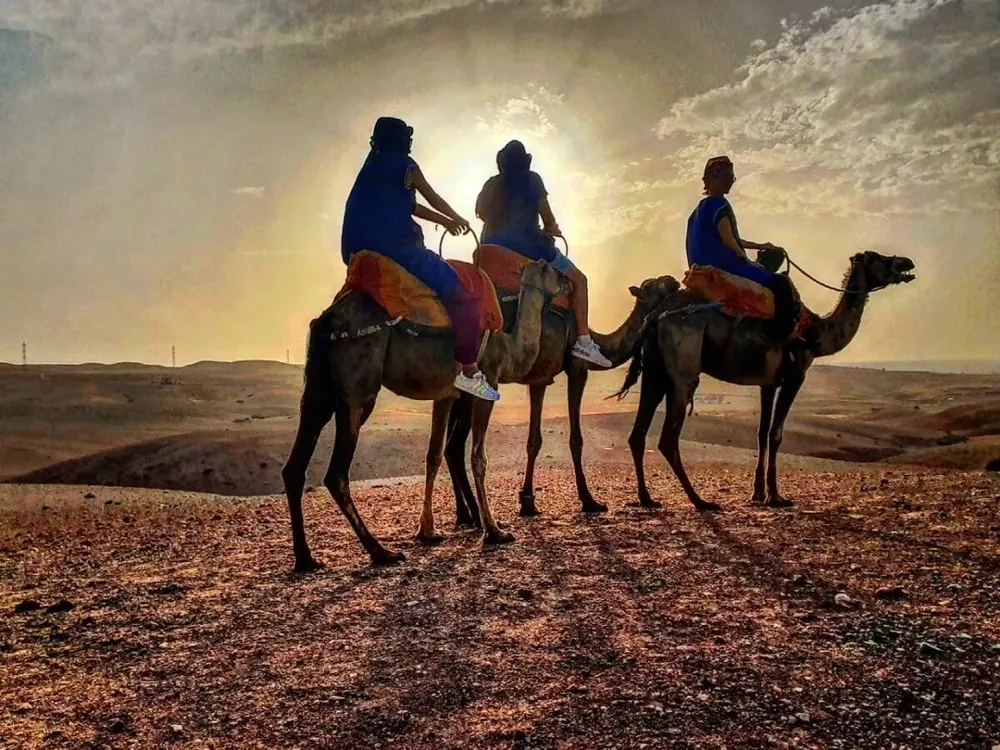 Deserto de Agafay – Passeio de Camelo e Jantar com Espetáculo