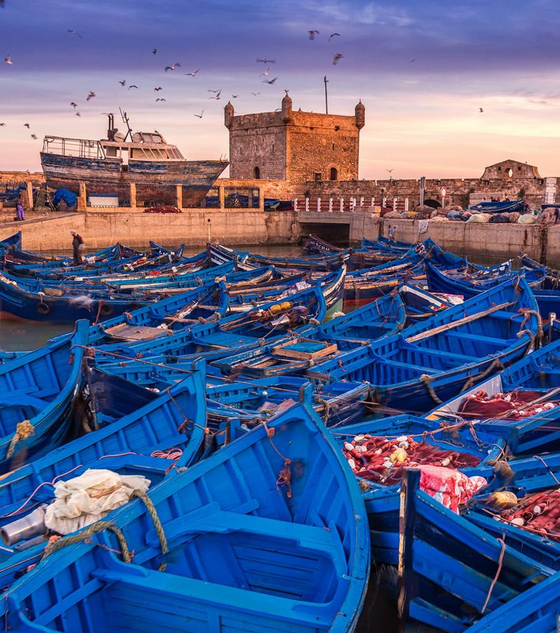 Excursão Ao Essaouira - A Antiga Cidade Mogador