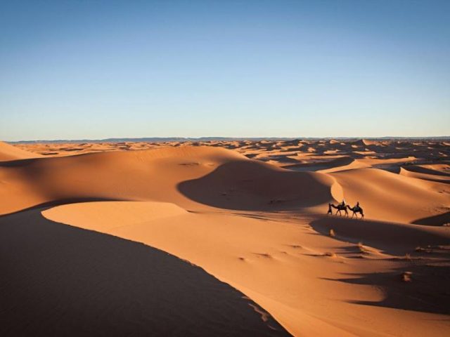 TREKKING NO DESERTO COM CAMELOS